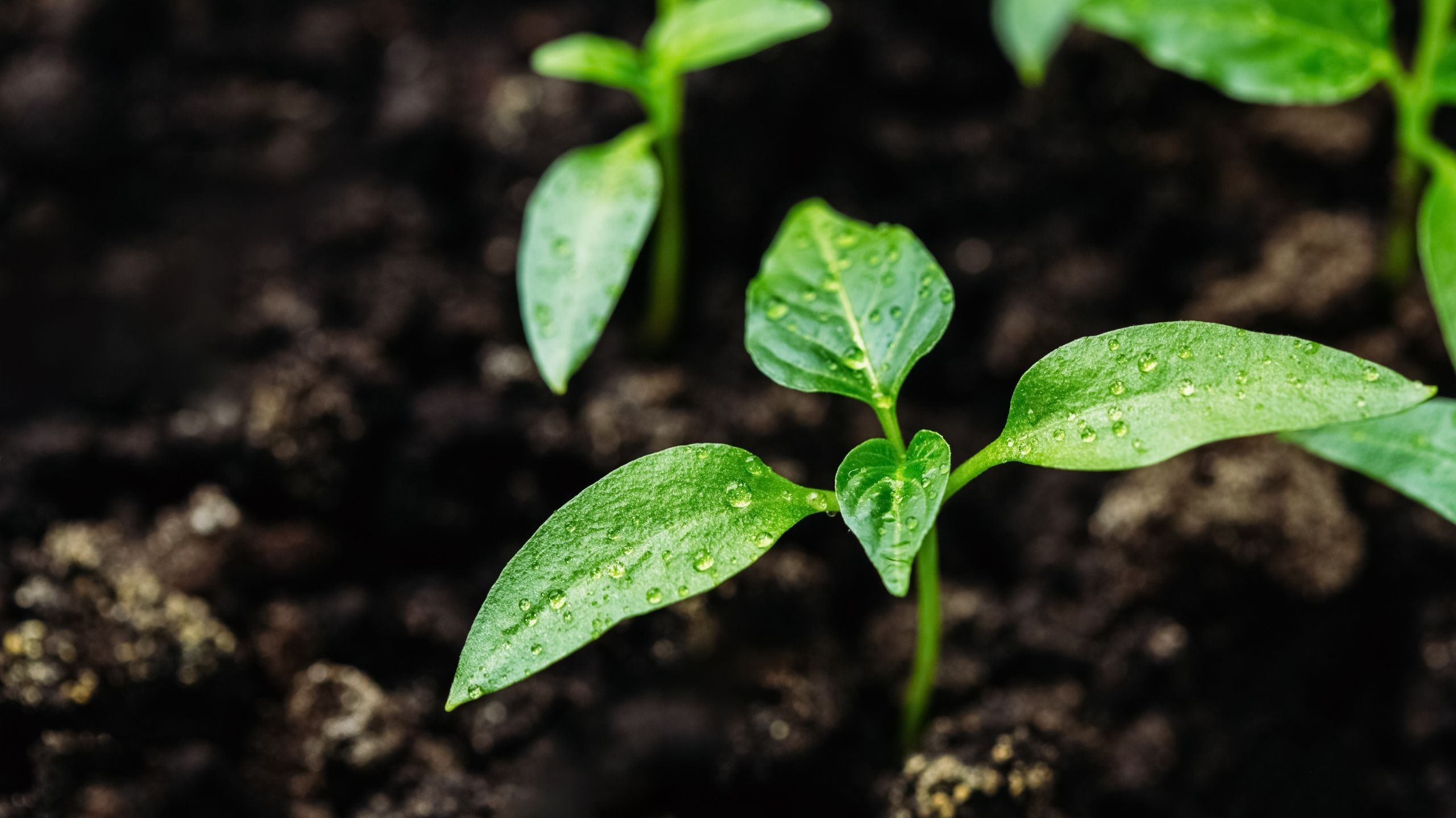 7 Years In — and What Comes Next